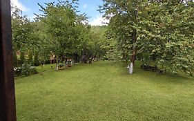 Cazare La Oana